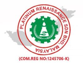 Platinum Logo